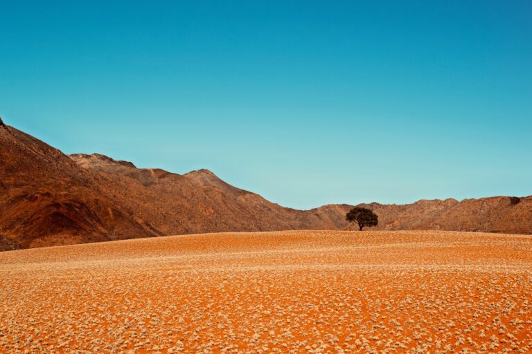 La réserve du Namibrand