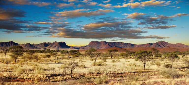 Le Désert Du Kalahari