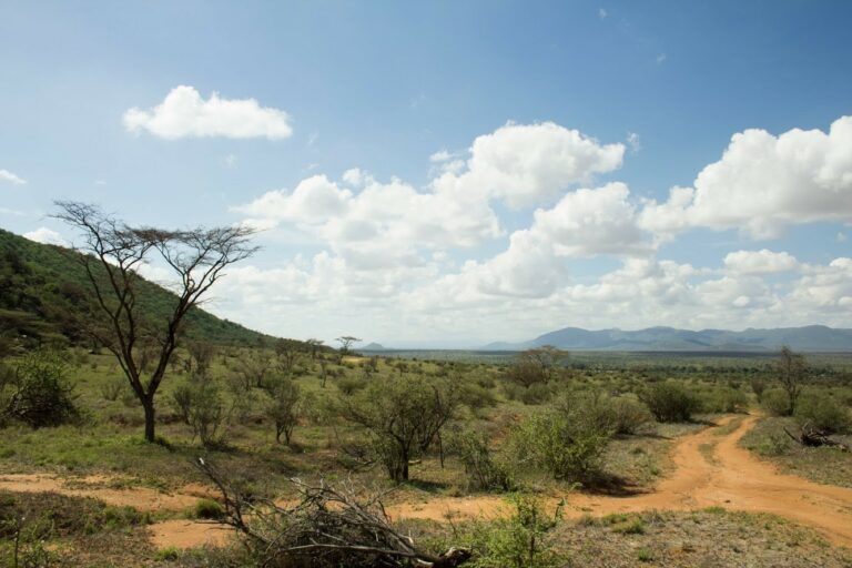 Paysage du Kenya Samburu