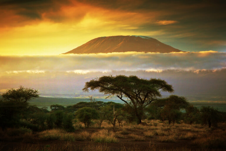 kenya, vue sur le kilimandjaro à tsavo