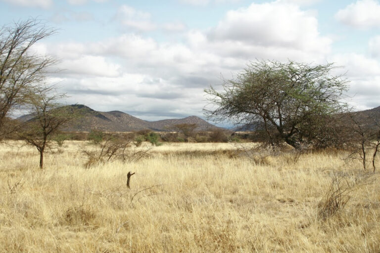 paysages-samburu